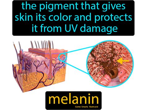 melanin definition